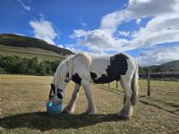 Customer Success Gallery - 